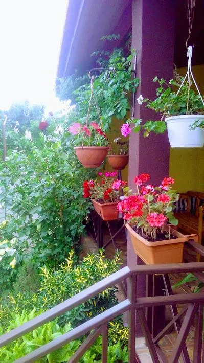 Gast Haus Bavaria Tbilisi Guest house